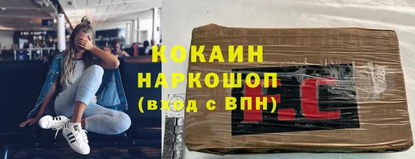 гидра Липки