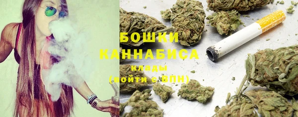 гидра Липки
