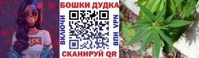 ОМГ ОМГ tor Армянск Каннабис план